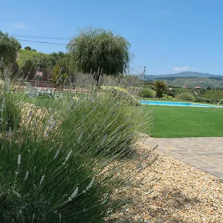 Casa Da Formiga Hébergement de vacances Juncal de Cima