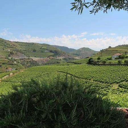 Casa de Férias Casa Da Formiga Juncal de Cima