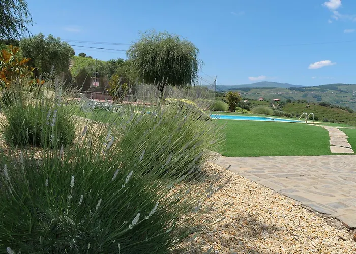 Casa Da Formiga Hébergement de vacances Juncal de Cima