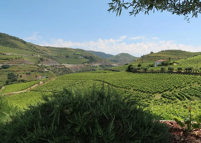 Hébergement de vacances Casa Da Formiga Juncal de Cima